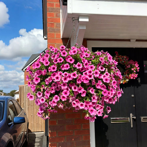 💥Last Day 60% OFF💥UV Resistant Artificial Petunias Flowers