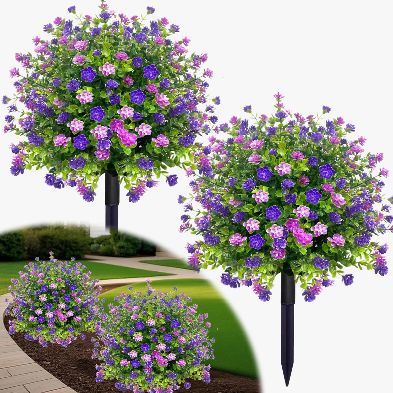 Pink/Purple