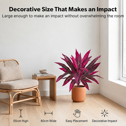 🎁  Last Day 60% OFF - Artificial Boston Fern & Dragon's Blood Tree Plants