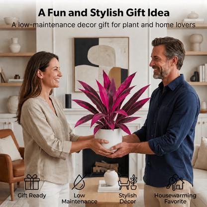 🎁  Last Day 60% OFF - Artificial Boston Fern & Dragon's Blood Tree Plants