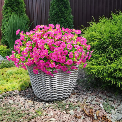 💥Last Day 60% OFF💥UV Resistant Artificial Petunias Flowers