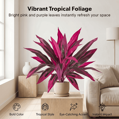 🎁  Last Day 60% OFF - Artificial Boston Fern & Dragon's Blood Tree Plants