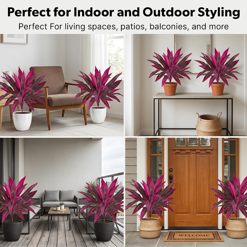 🎁  Last Day 60% OFF - Artificial Boston Fern & Dragon's Blood Tree Plants